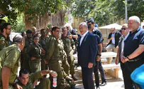 מדיניות משותקת        