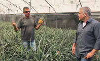 "הבקעה תישאר גבול הביטחון בכל מצב"