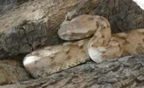 המענה שלנו לסכנות שבטיולים
