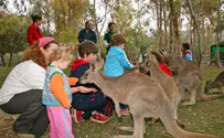 פינקלר לישון עם קנגורואים - לינת שטח בגן גורו