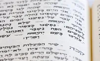 Treasure at the Cave of Machpelah