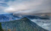 California Jewish camp cancels final session over forest fires