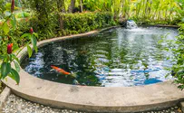 Antwerp Jews get city to refill dried up pond for Rosh Hashanah