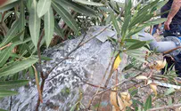 Watch: Infusing water into Golan rivers
