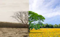 iStock The Left is trying to revive the dead