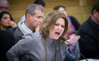 Meretz MK: Erdan gun license plan will endanger women