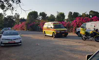21-year-old Jerusalem man drowns at Israeli national park