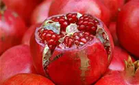 Flash 90 Pomegranates - traditional and healthy