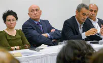 'Arab MKs undermining State of Israel'