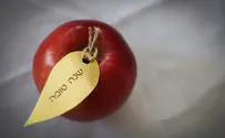 הכול בגלל פרי קטן    