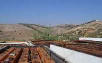 Wine from Negohot, honey from Halamish‏‏‏‎