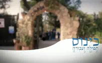 צפו: כינוס תפילה ועבודה