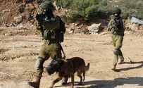 Shooting at vehicle near Kochav Ya'akov
