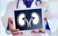 1st of its kind: Kidney transplant 'swap' between UAE & Israel