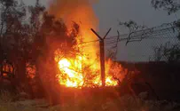 Suspect in fire at Dead Sea-area nature reserve indicted