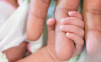 יותר השכלה, פחות ילודה: חוץ מהדתיים