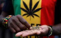 Daily use of pot increases risk of psychosis, study finds