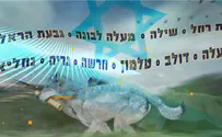 הגיע זמן הזאב!      