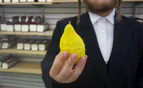How a Chinese fruit became a Sukkot symbol