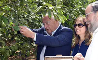 US ambassador gives wishes for happy Sukkot