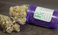 An achievement for medical cannabis researchers