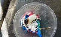 Second time in two days: Incendiary balloons in Jerusalem