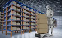 Watch: Robot dogs used to monitor storage plant