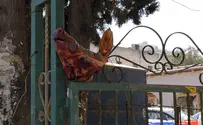 ברית האחים ניצחה את קמפיין ההדתה