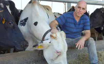 #MILKTOO: Dairy farmers protest government