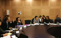 צפו: סערה בדיון על חוק סינון אתרים