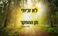 מיכה שקד שר: לא זכיתי באור מן ההפקר