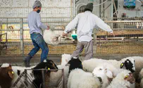 Minister Ariel imposes moratorium on PA agricultural imports