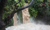 מפלס הכינרת עלה ב-1.5 סנטימטרים