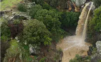 צפו: המים זורמים בעוז בנחלים