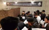 אלפים בציונו של 'בעל התניא'