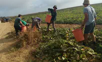 חיבור לאדמה מוביל להצלחה בכל התחומים