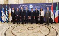 For first time since 2011: Israeli minister in Egypt