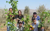 Much more than a Tree – It’s Life Itself!