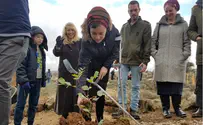 הזוג הפצוע נטע עץ לזכר התינוק שנרצח