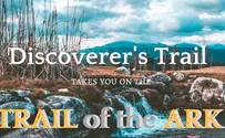 The Ark and the end of days
