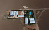 Bedouin squatters forced to demolish illegal farm