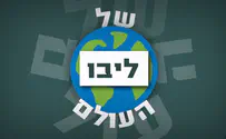 הלב והמעיין - דב הנדלר