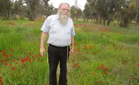 "ישרות אמיתית שנובעת מיראת שמים"