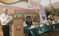 צילום: מירי צחי השר לנדאו: ביום ראשון חוזרים לבנות