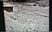 Attempted infiltration in Israeli town in Samaria