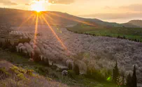  World must recognize Israeli control over the Golan Heights now