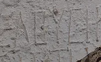 1700-year-old stone inscription found in Halutza National Park