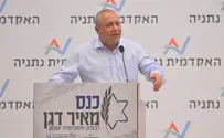 "חיזבאללה תכננו תכניות גרנדיוזיות"
