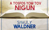 שאולי וואלדנר בניגון תוספות יום טוב