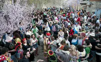 Purim Guide to the Perplexed